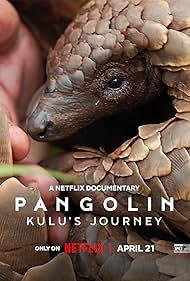 دانلود دوبله فارسی فیلم Pangolin: Kulus Journey سال 2025 - سفر پنگولینی به اسم کولو