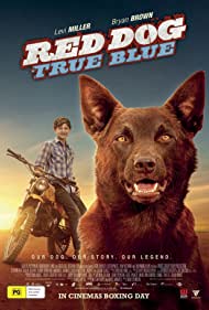 دانلود فیلم Red Dog: True Blue سال 2016 - سگ قرمز: آبی واقعی